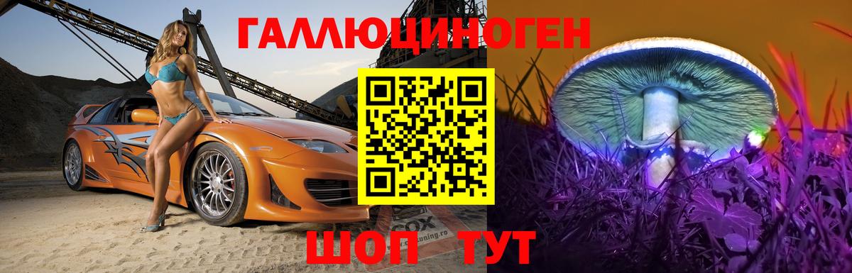 Псилоцибиновые грибы Psilocybe Саратов